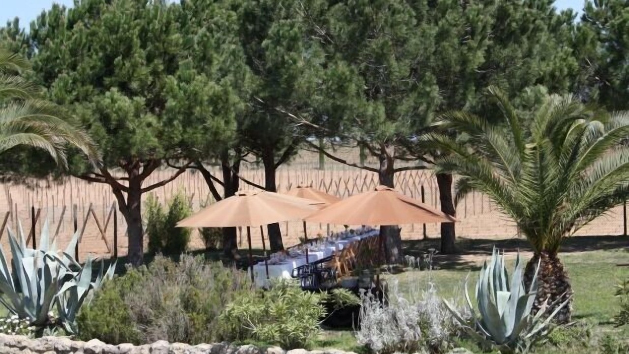 Photo of Outdoor in San Sadurni