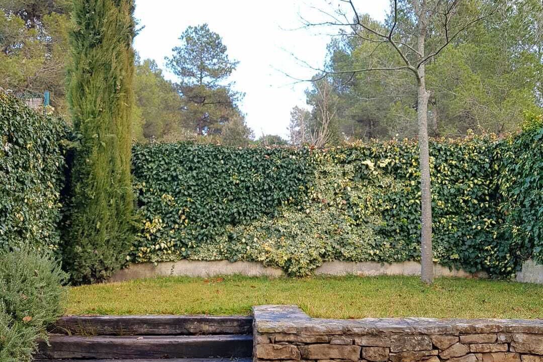 Photo of Outdoor in Mediona