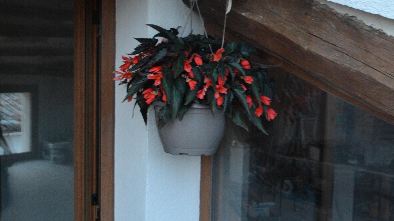 Photo of Outdoor in Mediona