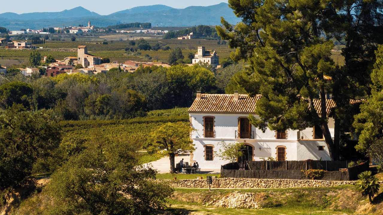Photo of Outdoor in Subirats