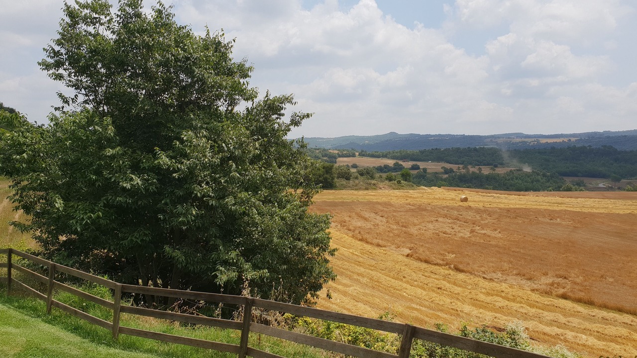 Photo of Outdoor in Gironella