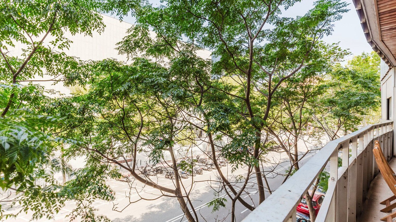 Photo of Outdoor in Les Corts