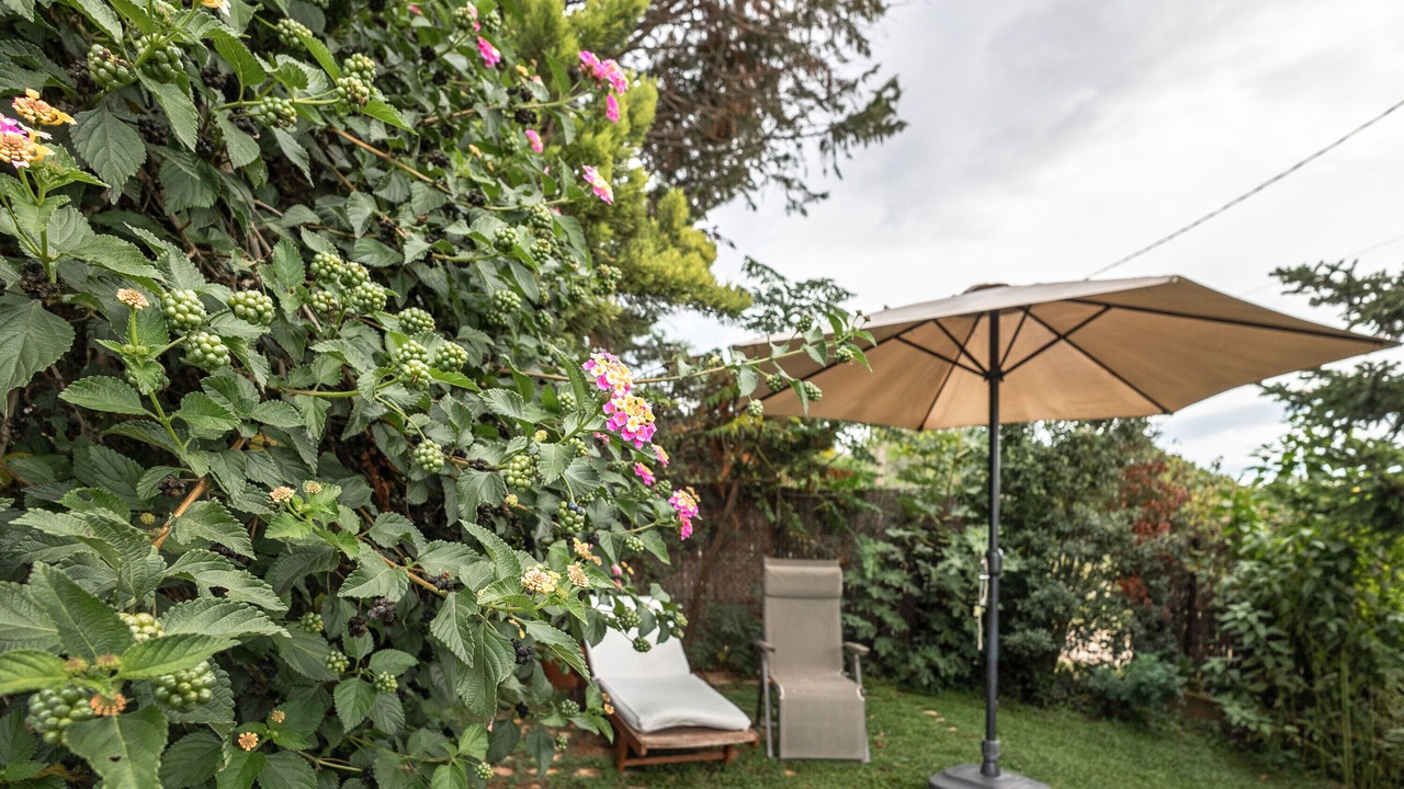 Photo of Outdoor in San Martin Sarroca