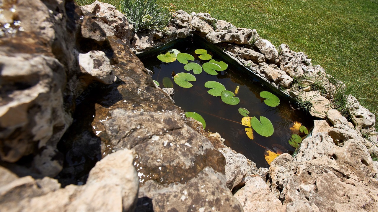 Photo of Outdoor in Corro de Vall