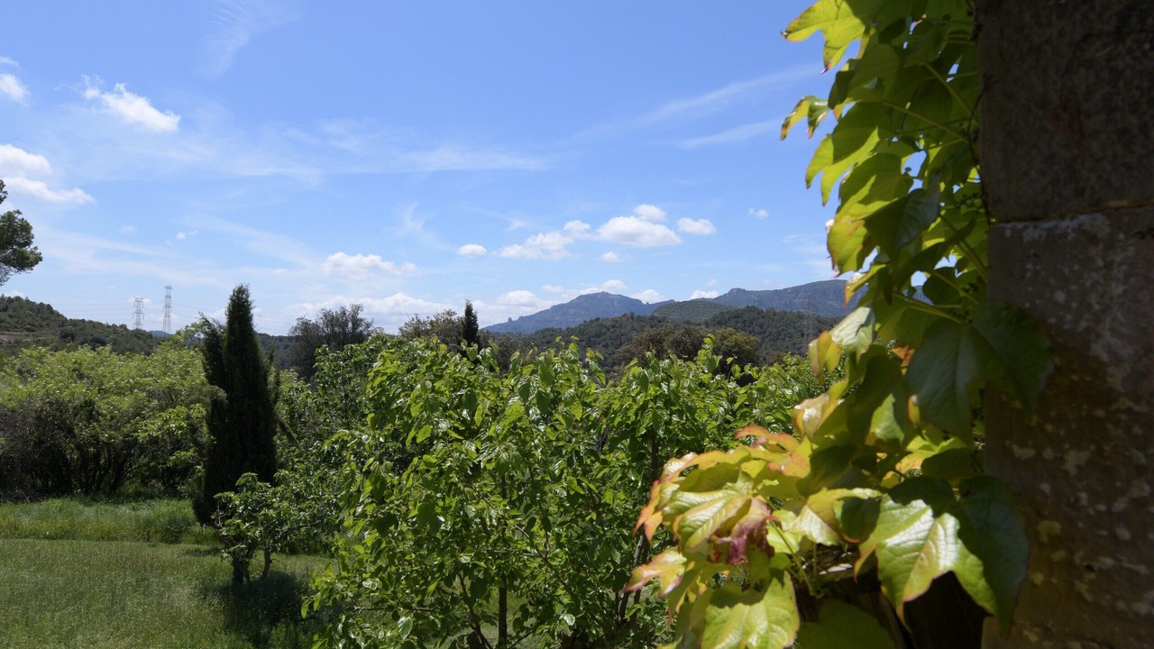 Photo of Outdoor in Sant Llorenc Savall