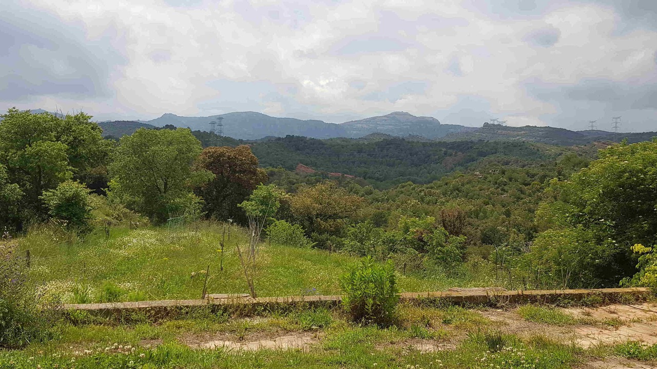 Photo of Outdoor in Sant Llorenc Savall