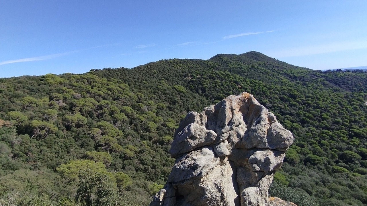Photo of Others in Sant Andreu de Llavaneres