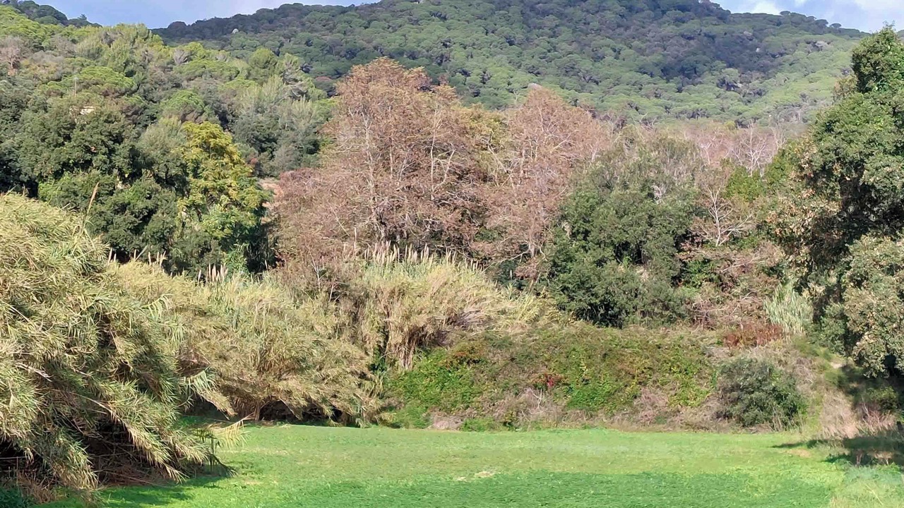 Photo of Outdoor in Sant Andreu de Llavaneres