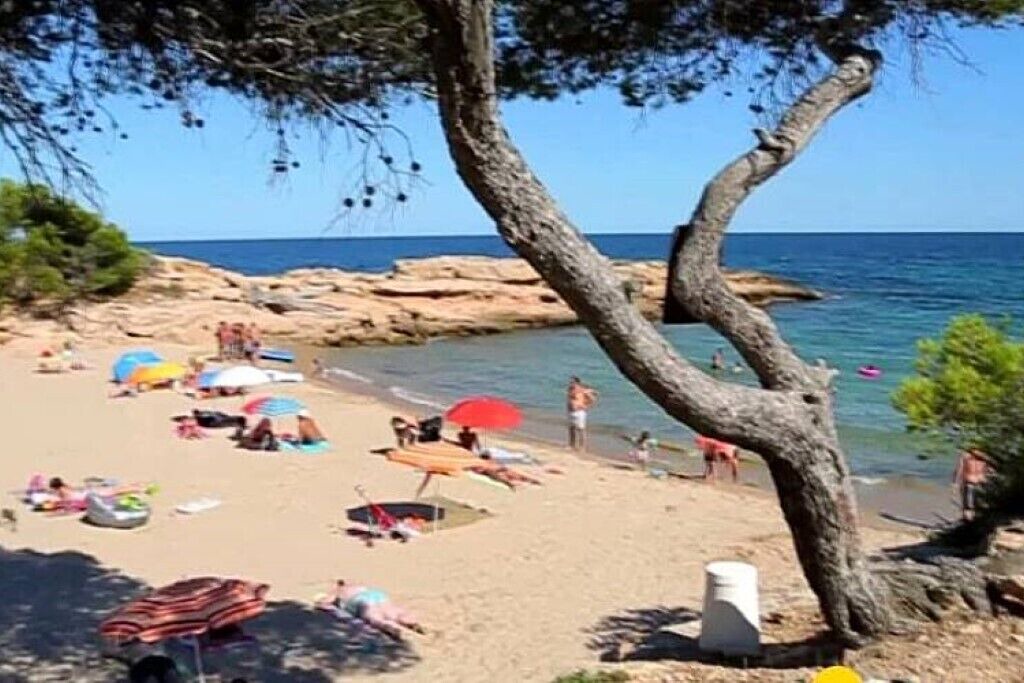 Photo of Others in Sant Cugat del Valles