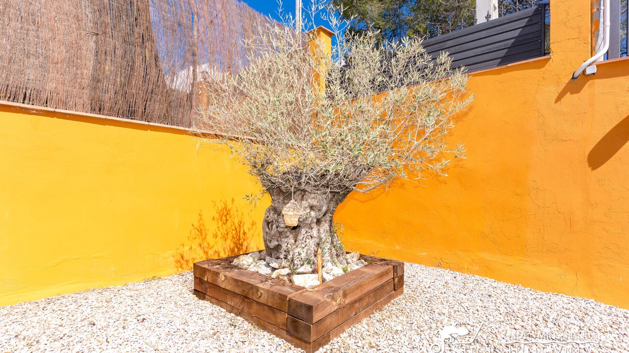Photo of Outdoor in Olivella