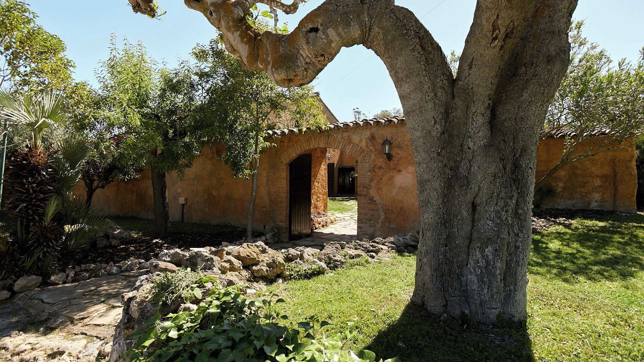 Photo of Outdoor in Olerdola