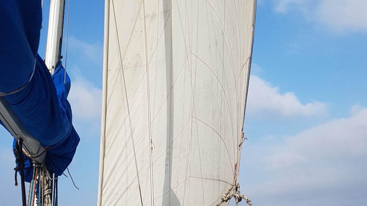 Photo of Others in Diagonal Mar i el Front Maritim del Poblenou