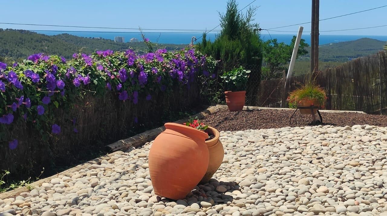 Photo of Outdoor in Sant Pere de Ribes