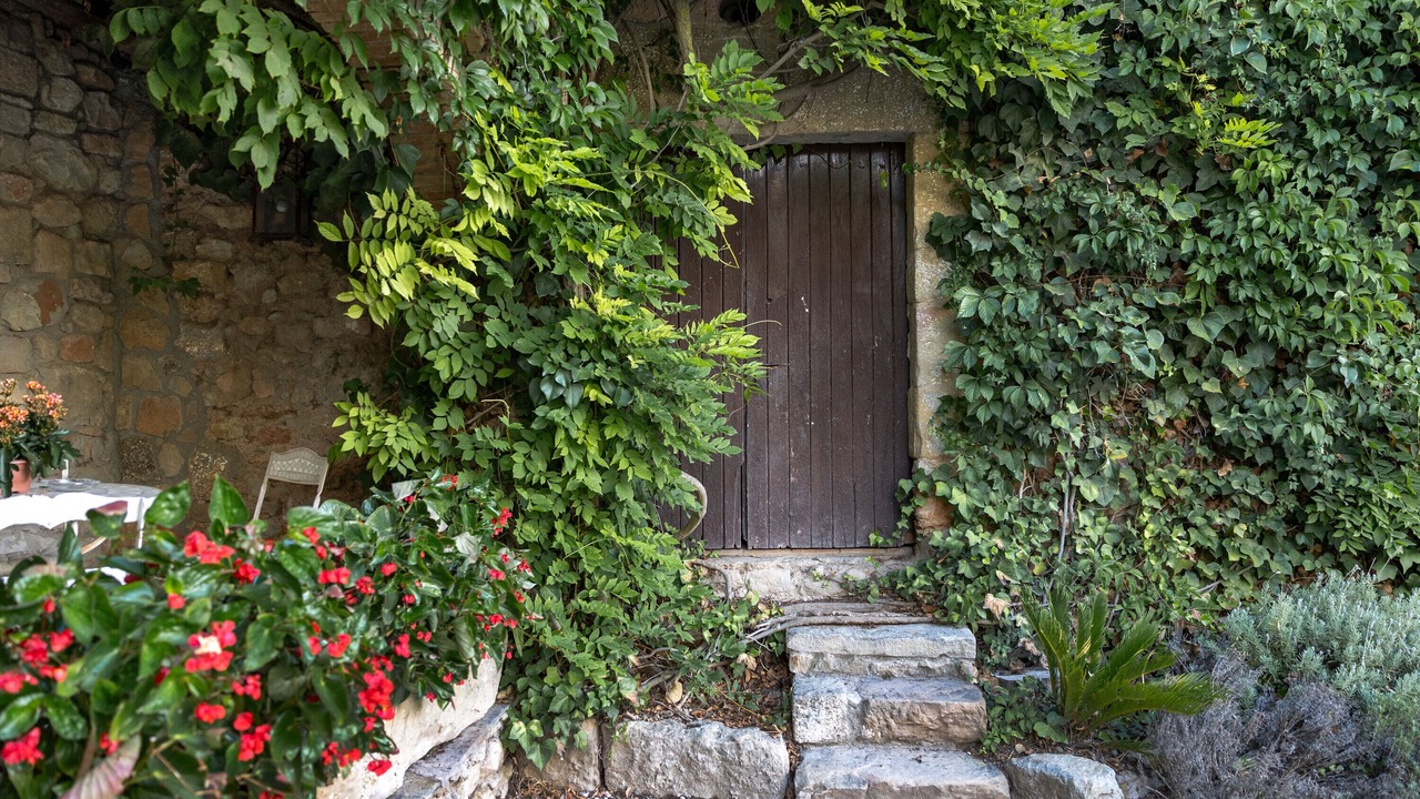 Photo of Outdoor in El Bruc