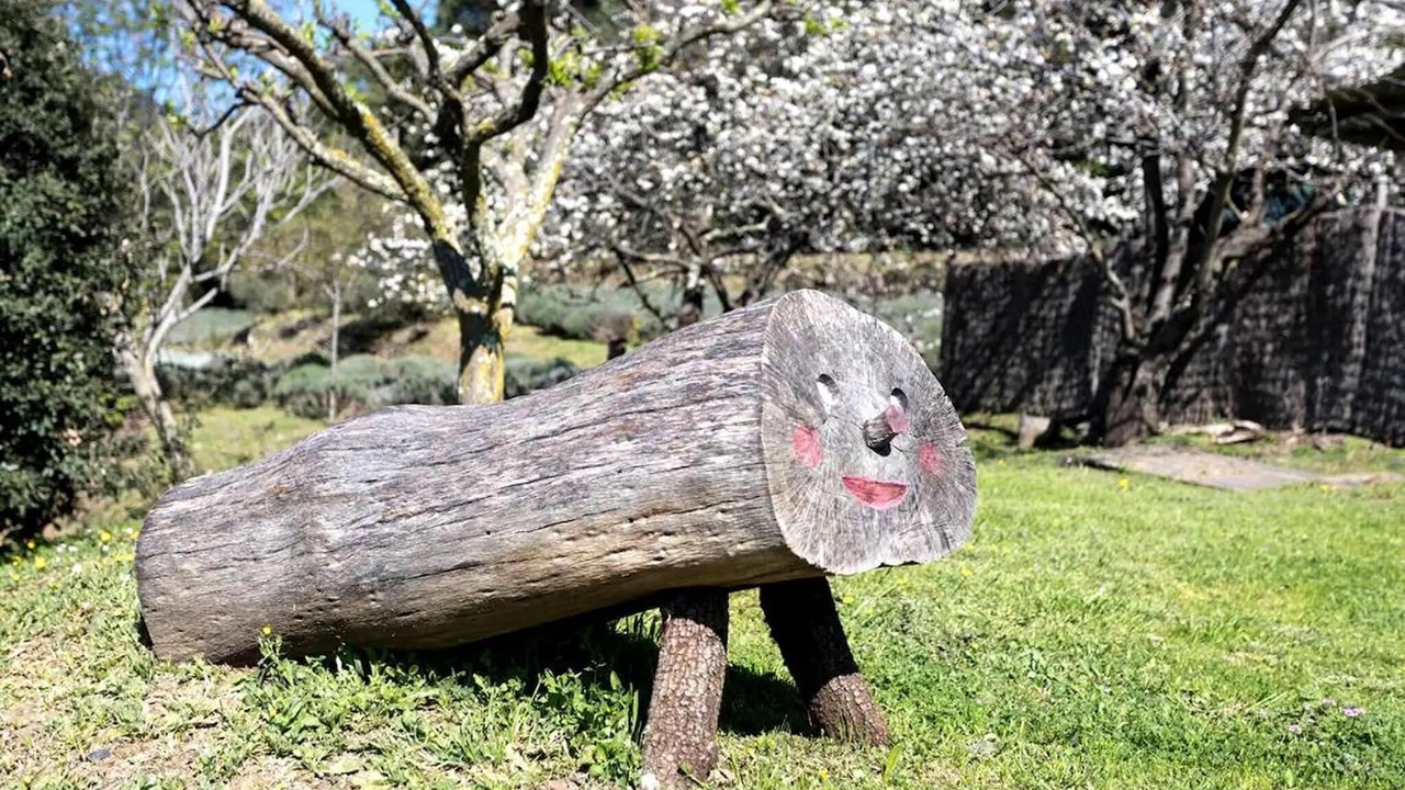 Photo of Outdoor in Montseny