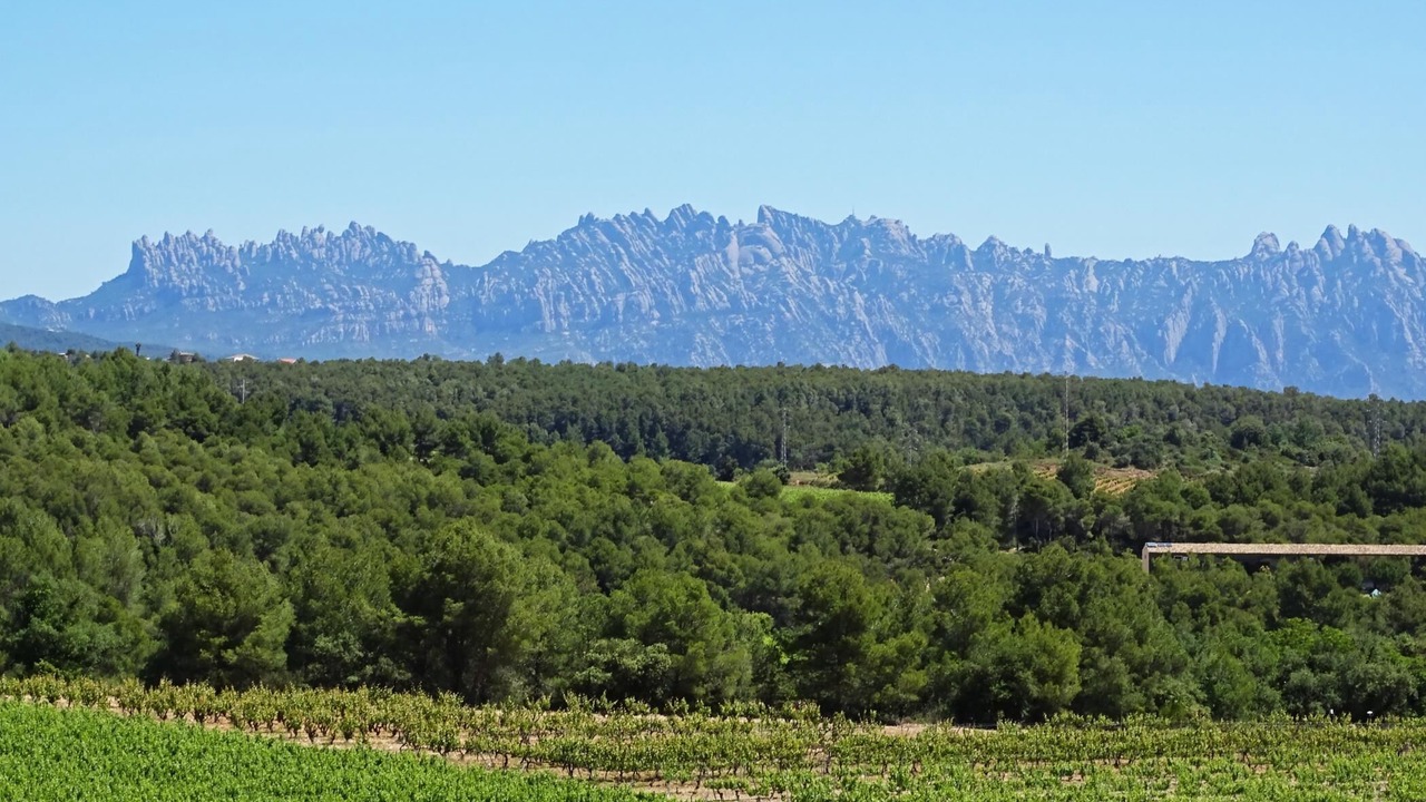 Photo of Outdoor in Mediona