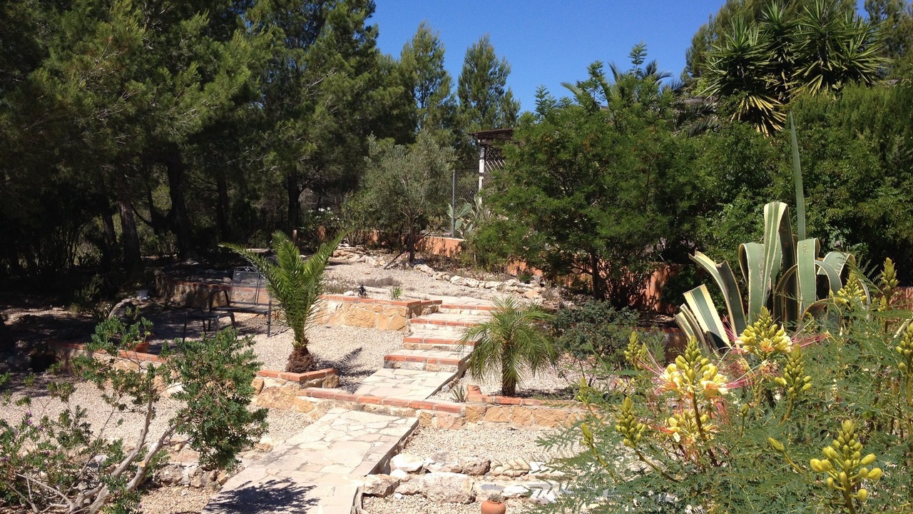 Photo of Outdoor in L Almadrava