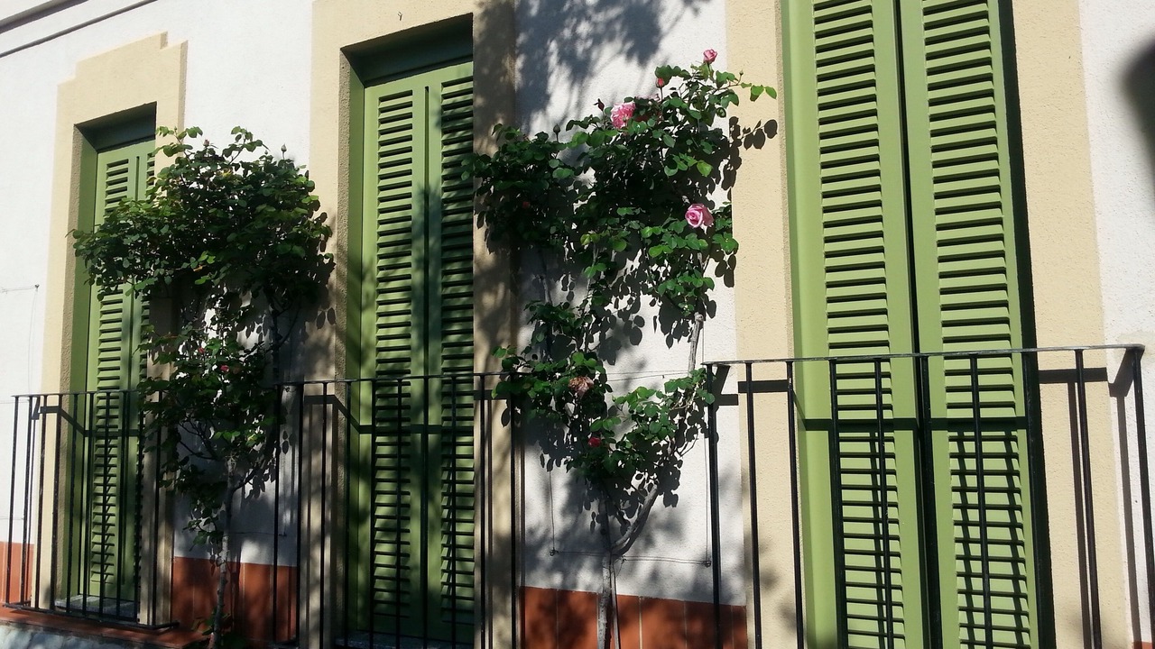 Photo of Outdoor in El Bruc
