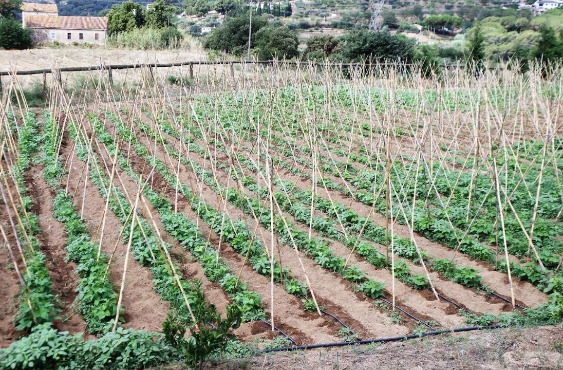 Photo of Outdoor in Caldes de Montbui
