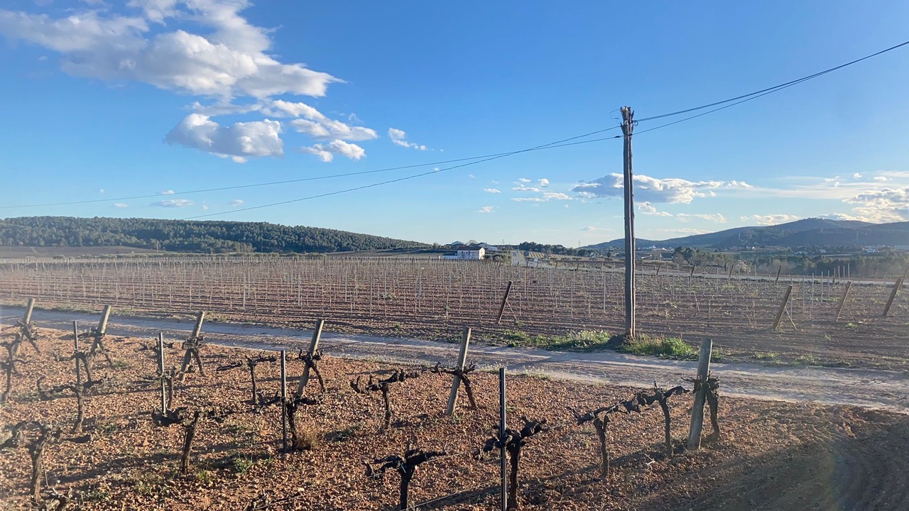 Photo of Outdoor in San Martin Sarroca