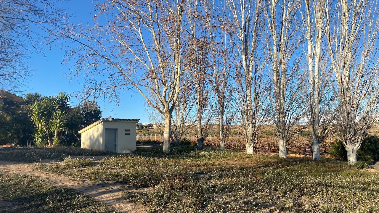 Photo of Outdoor in San Martin Sarroca