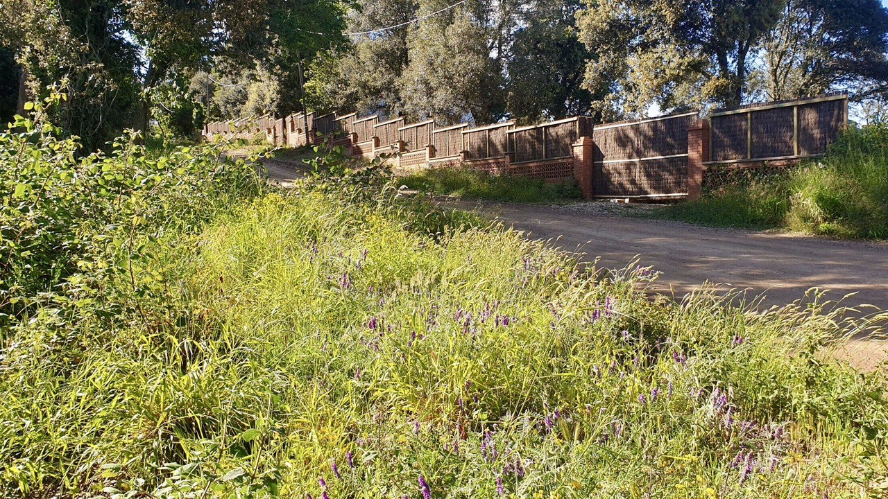 Photo of Outdoor in Tordera