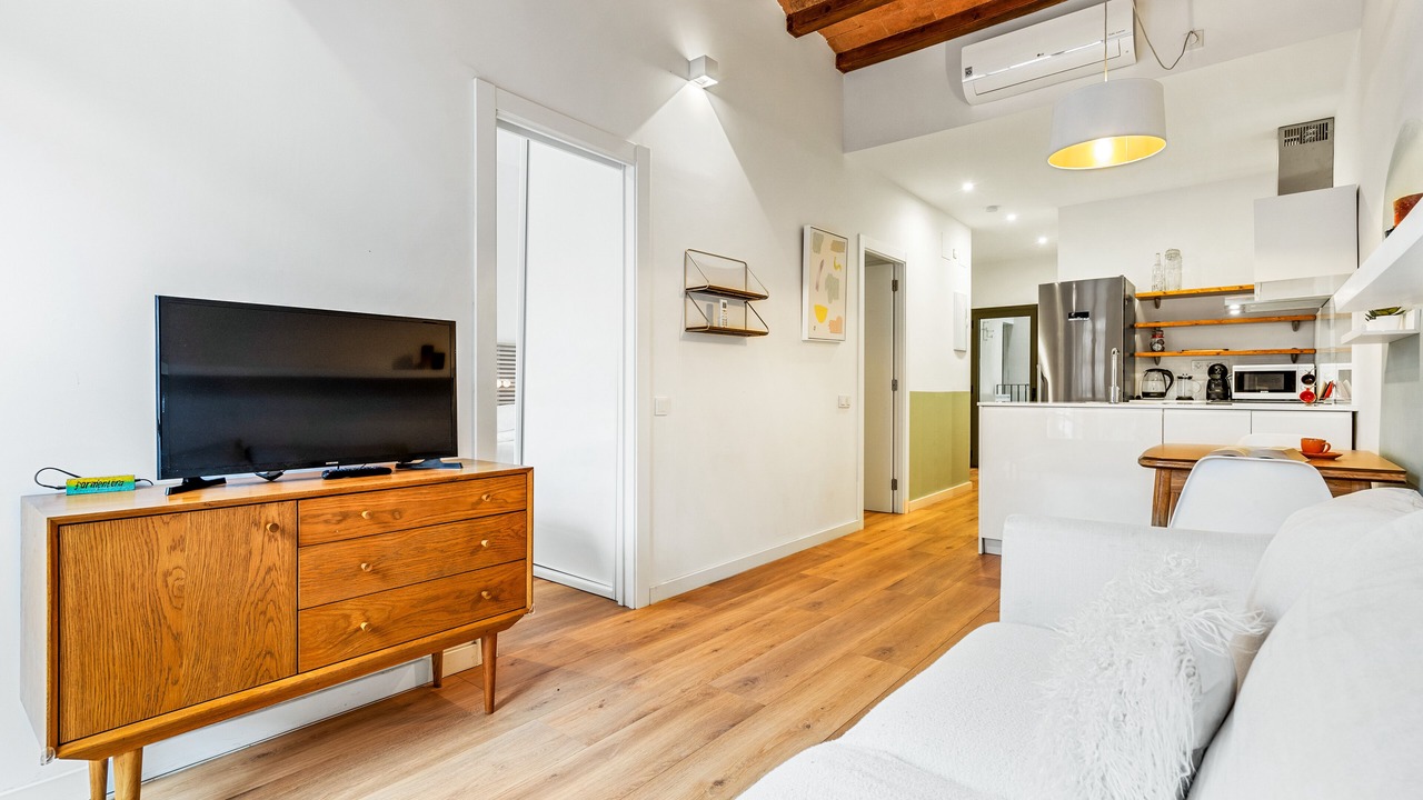 Photo of Livingroom in Hostafrancs