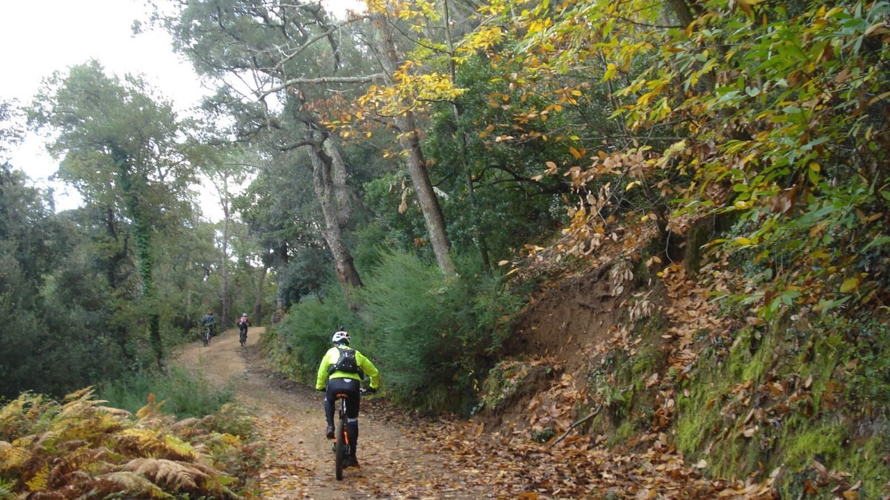 Photo of Others in Tordera