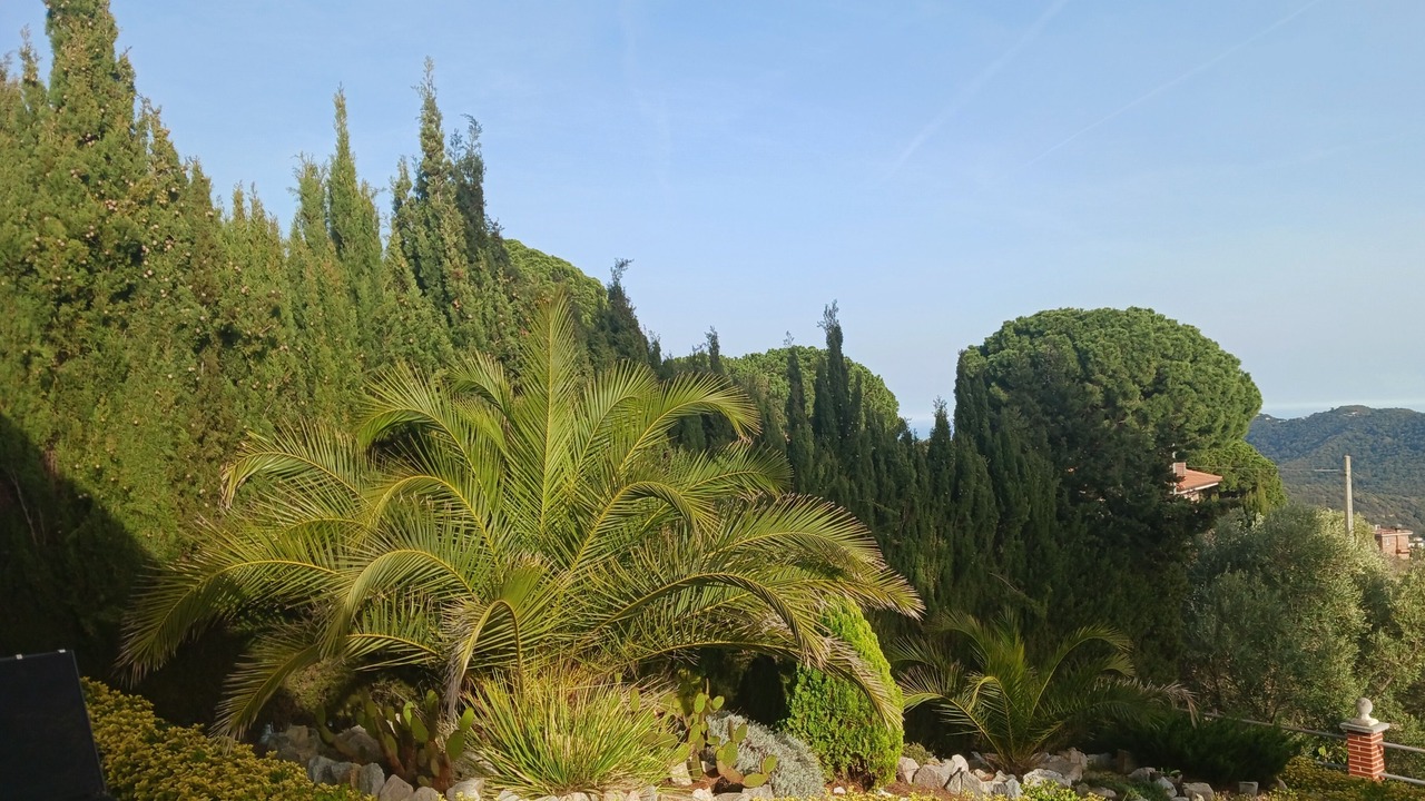 Photo of Outdoor in Tordera