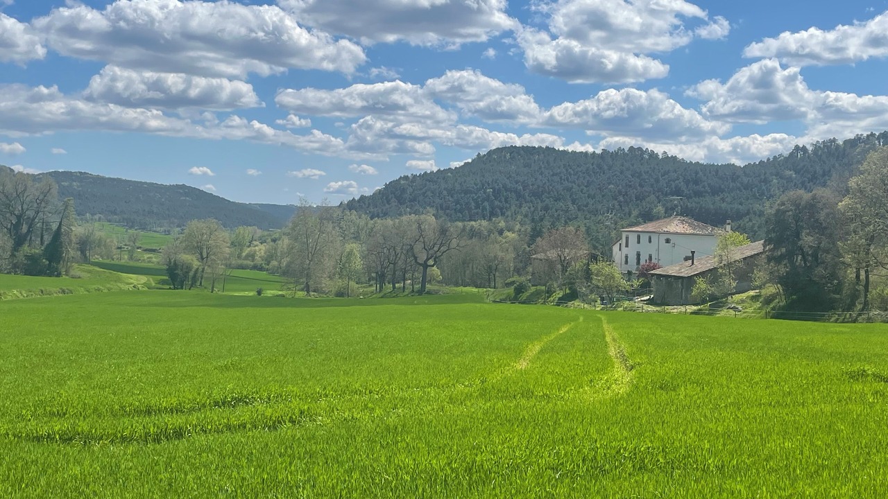 Photo of Others in Sant Boi de Llucanes