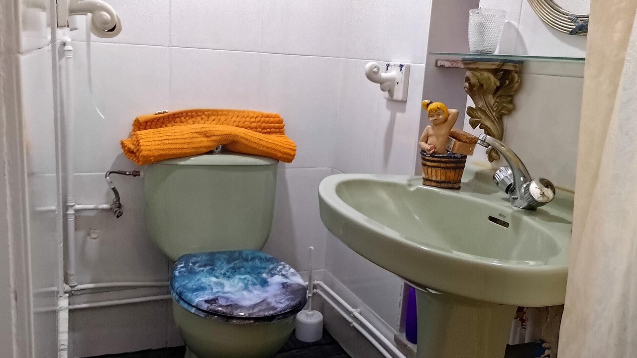 Photo of Bathroom in Granollers