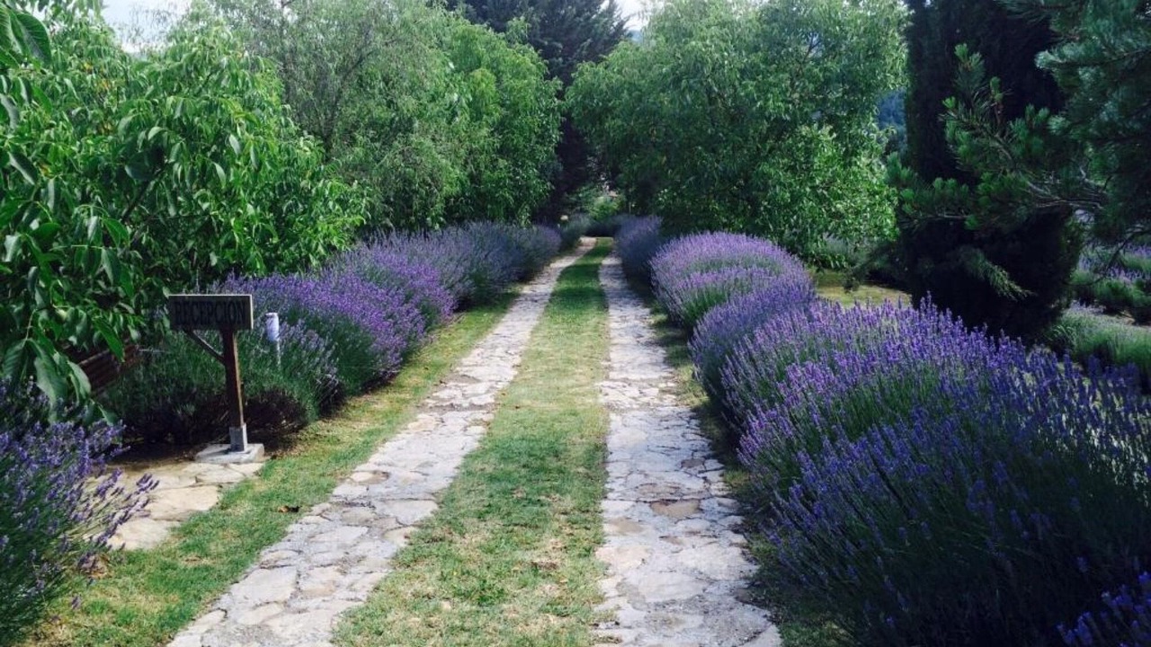 Photo of Outdoor in Castelltercol