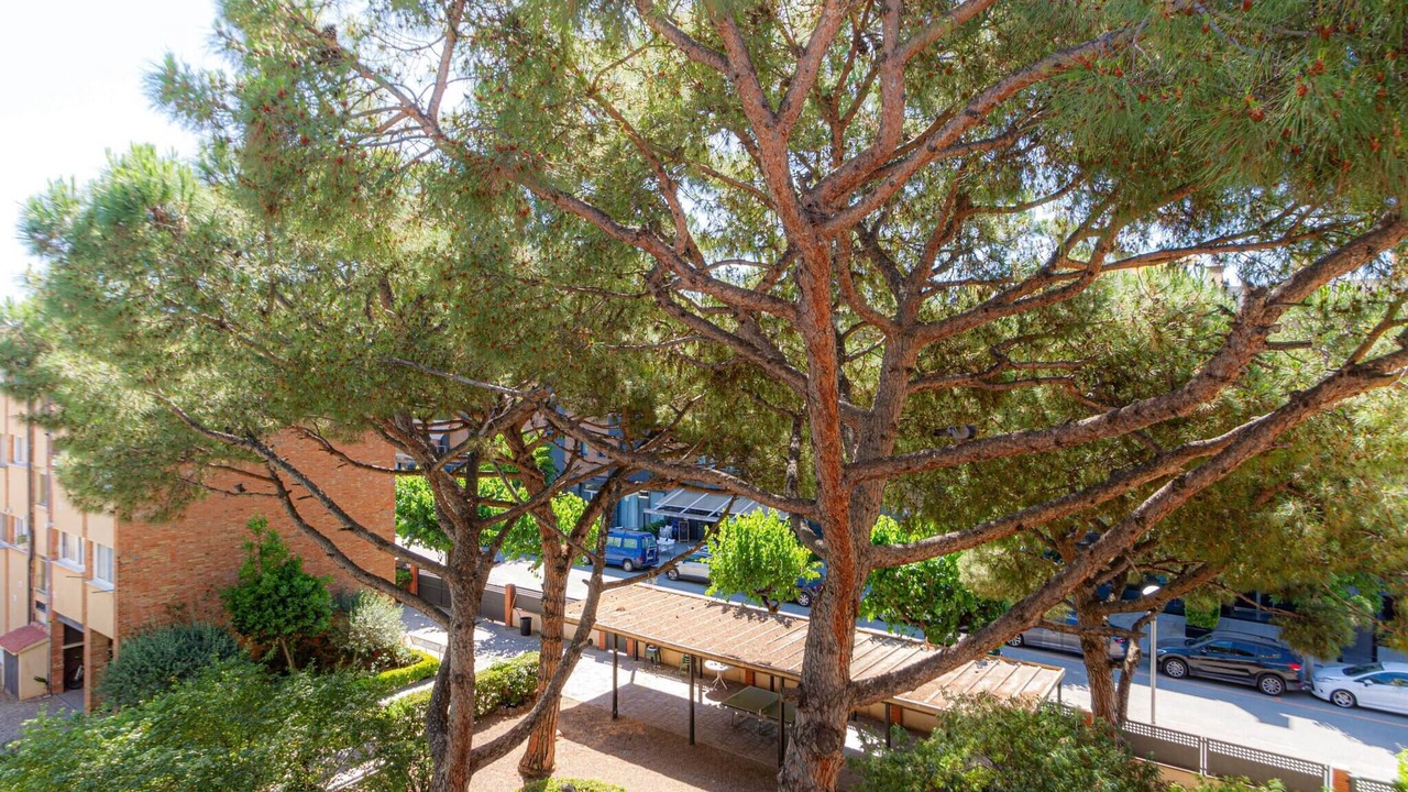 Photo of Outdoor in Cabrera de Mar