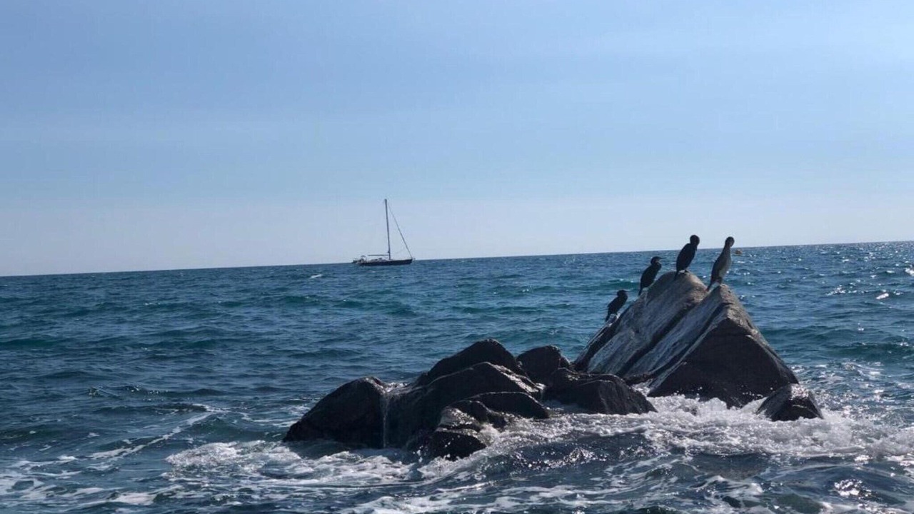 Photo of Others in Canet de Mar