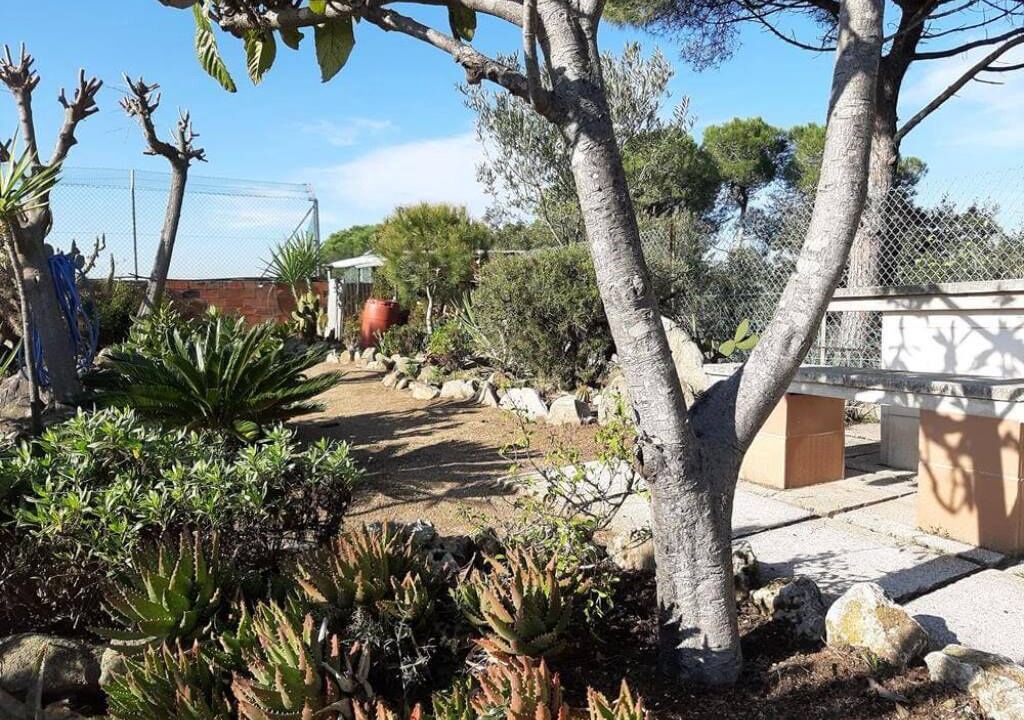 Photo of Outdoor in Sant Fost de Campsentelles