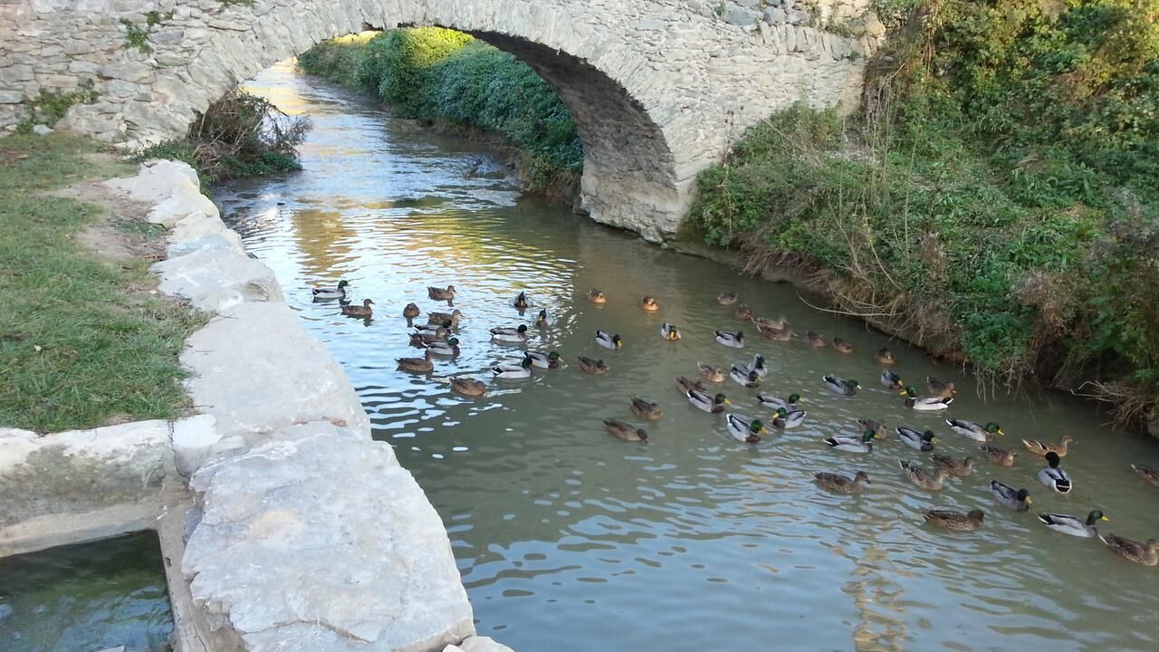 Photo of Others in Balenya