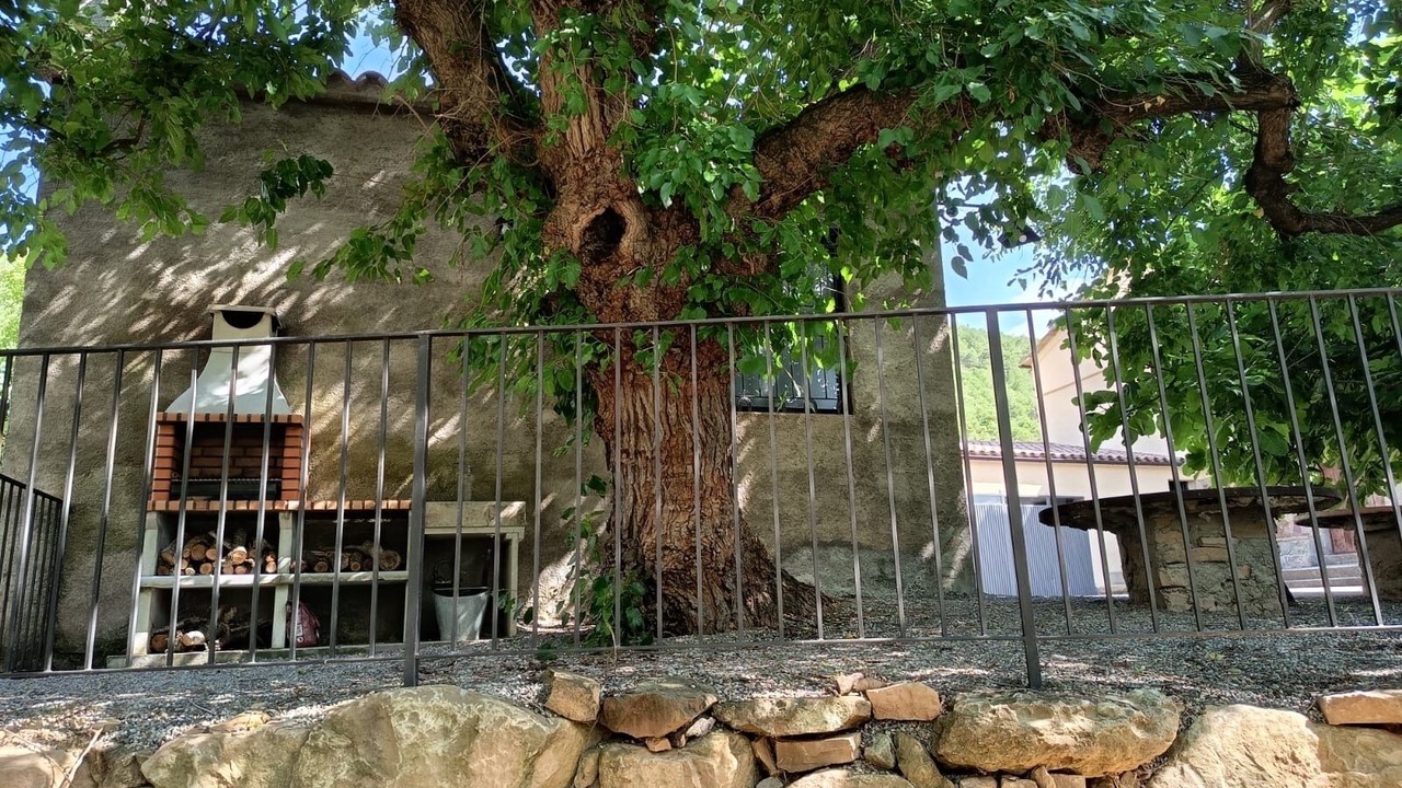 Photo of Outdoor in Trago