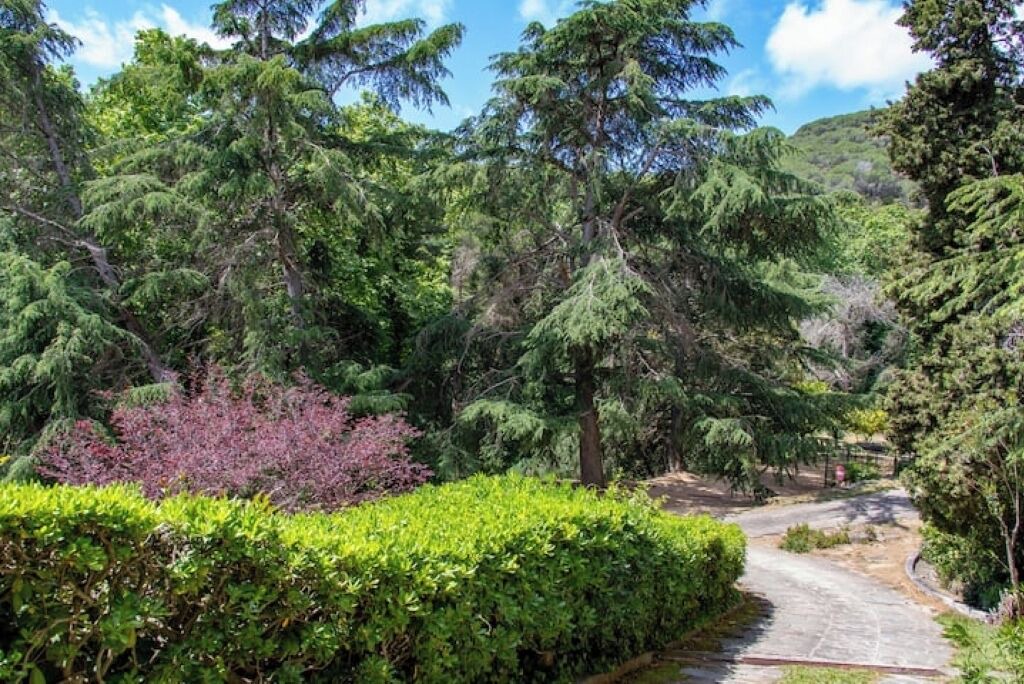 Photo of Outdoor in Arenys de Munt