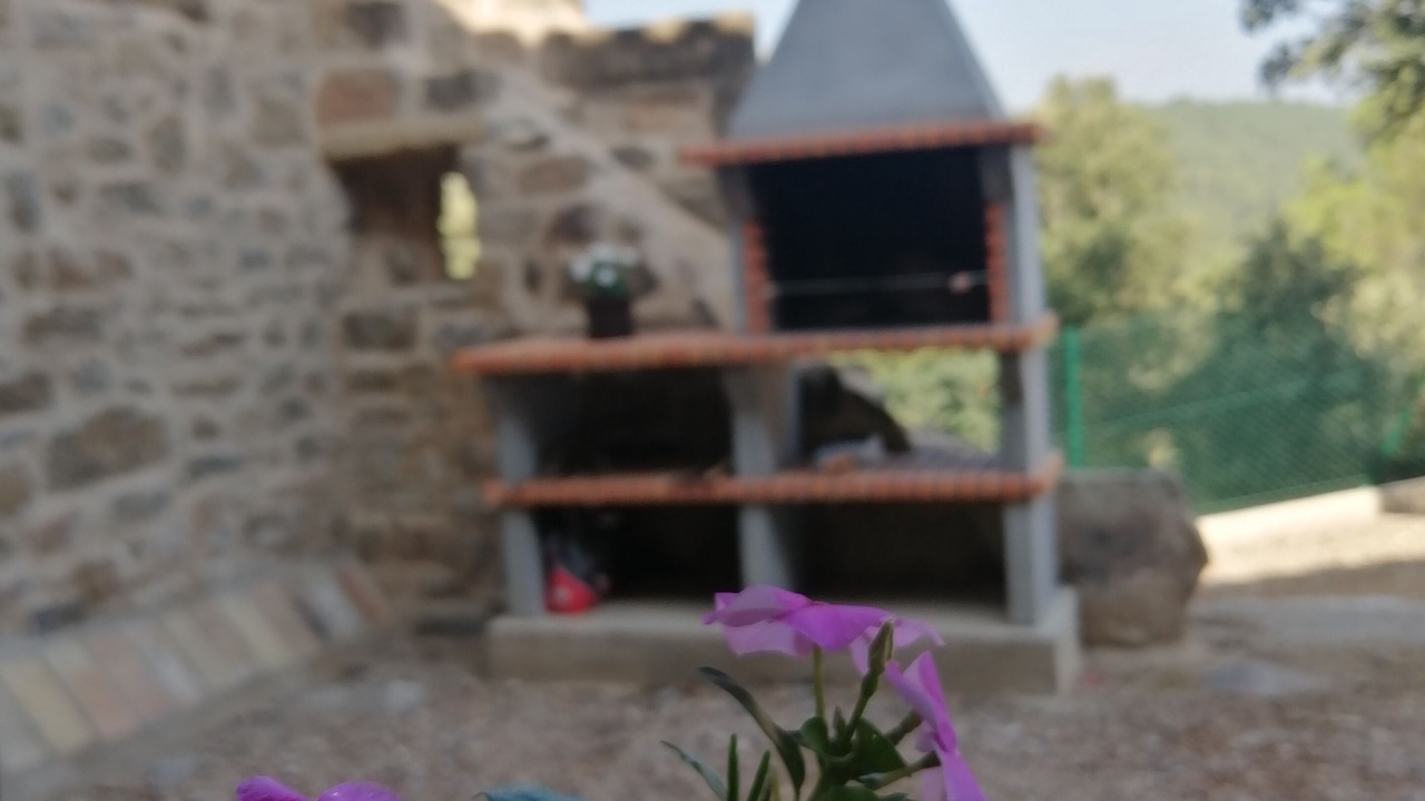 Photo of Others in El Pala de Torroella