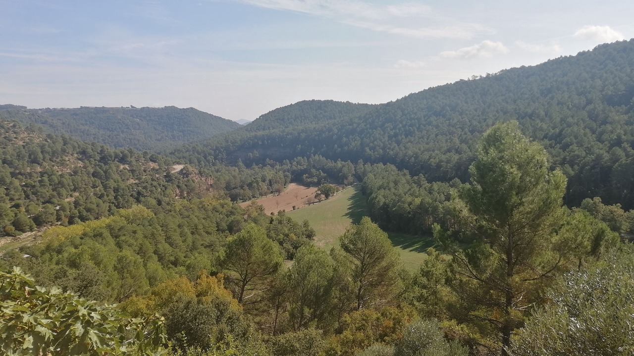 Photo of Others in El Pala de Torroella