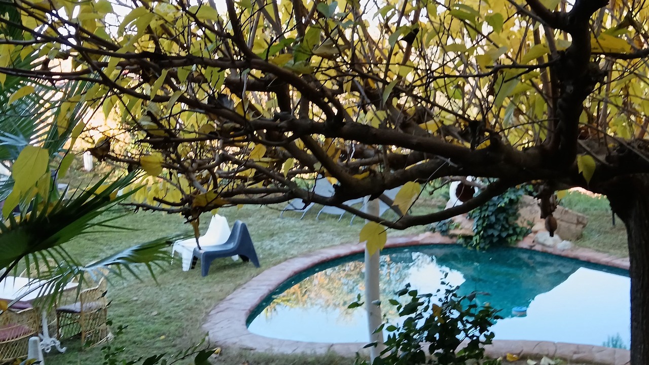 Photo of Outdoor in El Mas Mora
