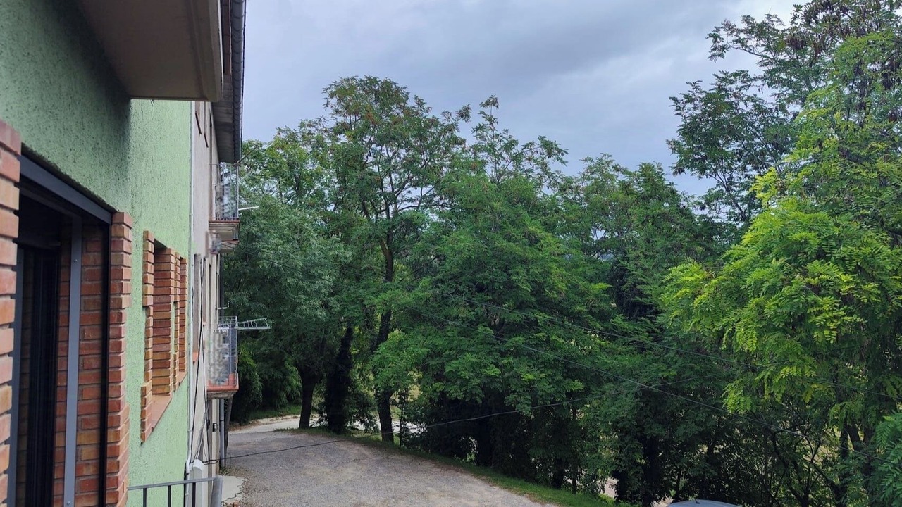 Photo of Outdoor in Avia