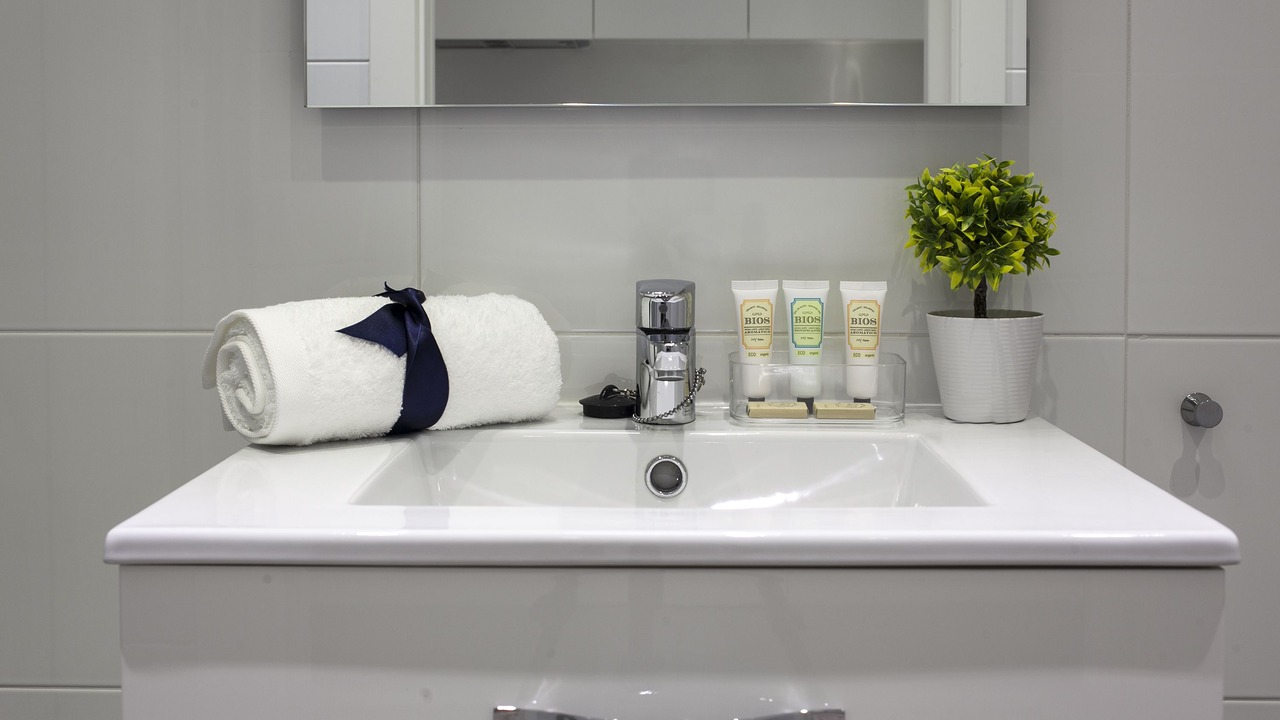 Photo of Bathroom in Hostafrancs