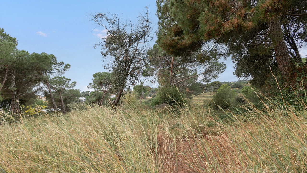 Photo of Others in Sant Vicenc de Montalt