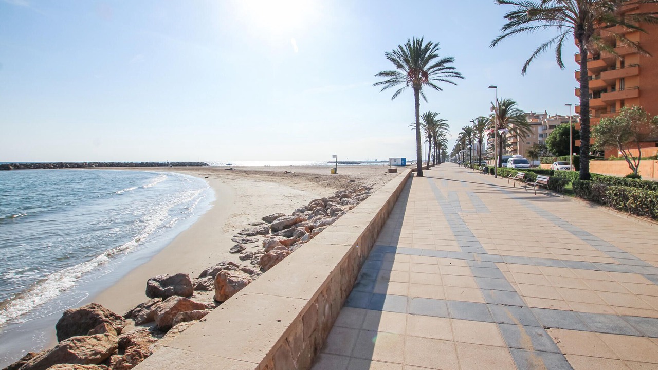 Photo of Others in Valldemar