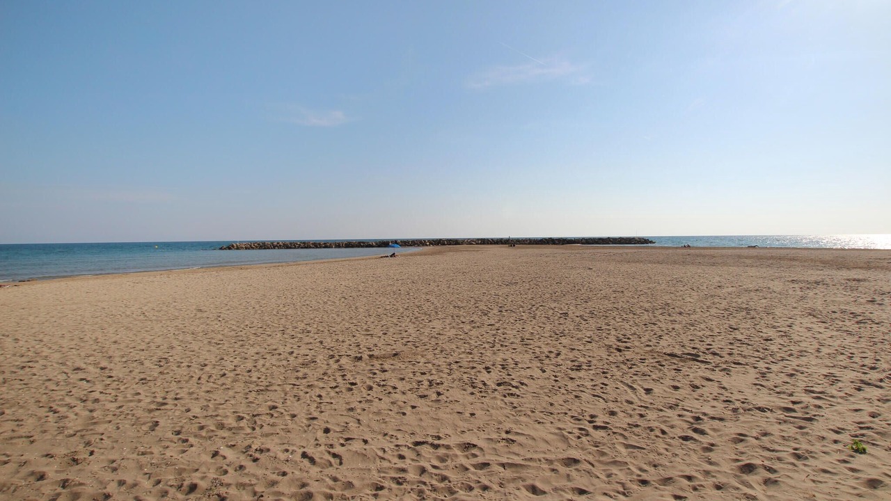 Photo of Others in Valldemar