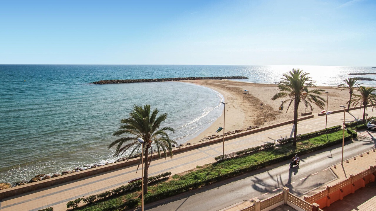 Photo of Others in Valldemar