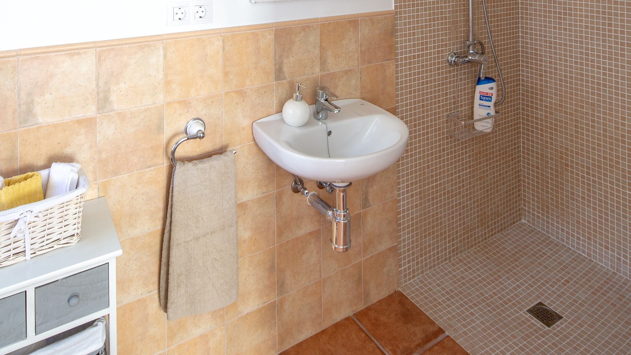 Photo of Bathroom in Corro de Vall