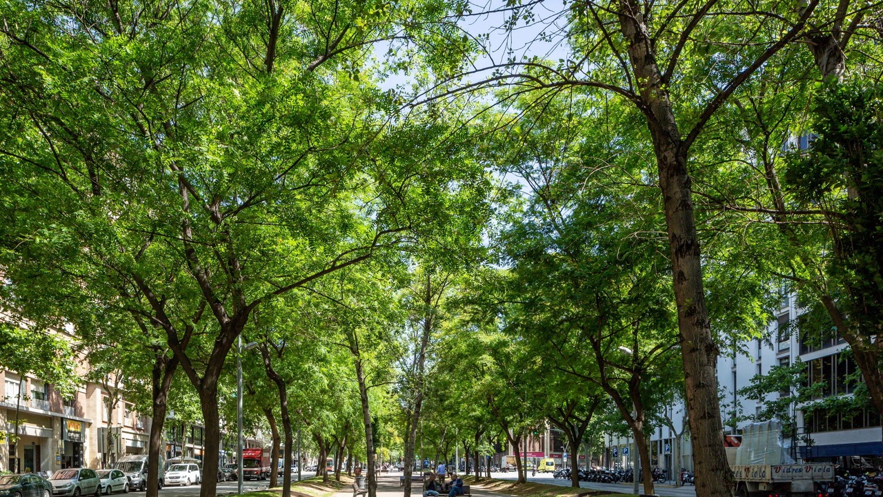 Photo of Others in Sants