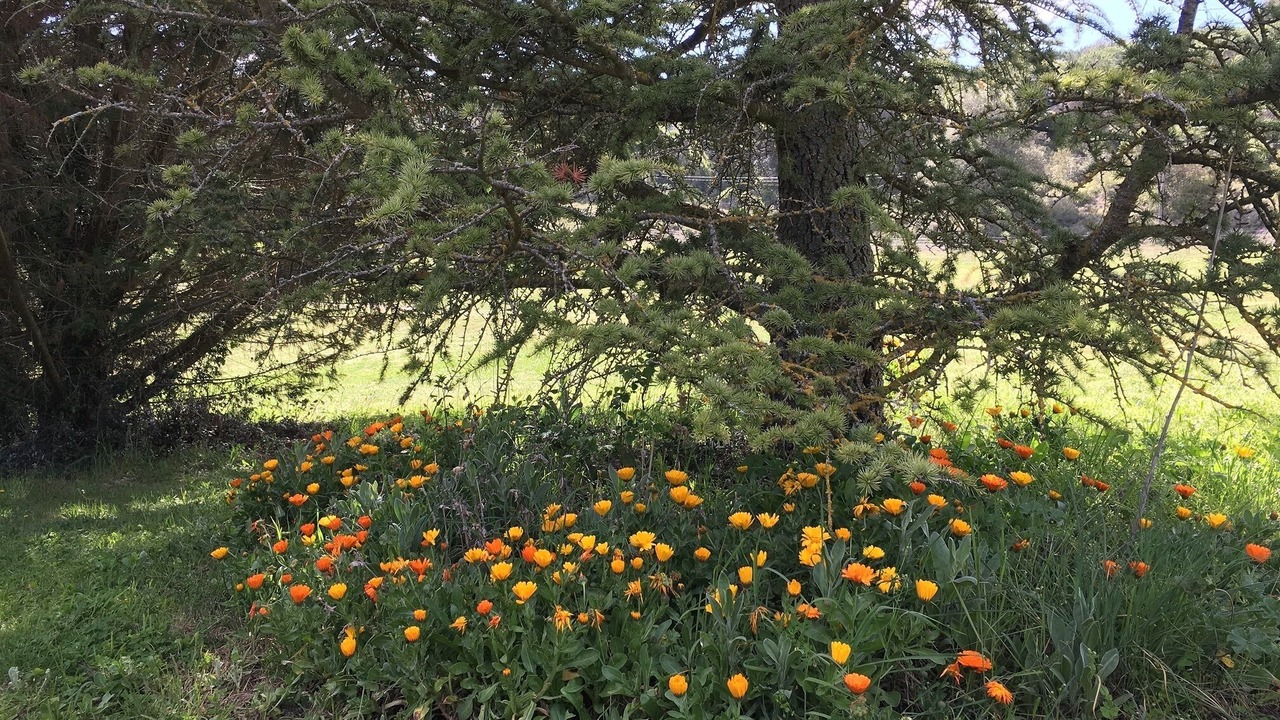 Photo of Outdoor in Moia